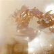 Image for article titled Transformers 3 screencaps